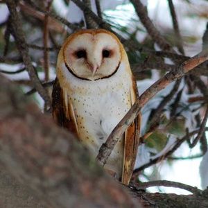 Meet your Posher, Jerrilea